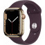 Apple Watch Series 7 GPS + LTE 45mm Gold Stainless Steel Case with Dark Cherry Sport Band (MKJF3/MKJX3), отзывы, цены | Фото 2