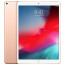 Apple iPad mini 5 Wi-Fi + LTE 64GB Gold (MUXH2) 2019, отзывы, цены | Фото 4