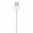 Сетевое ЗУ адаптер Apple 5W 1A с кабелем lightning (no box), отзывы, цены | Фото 2