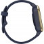 Смарт-часы Garmin Venu Sq Music Edition Navy/Gold (010-02426-12/02), отзывы, цены | Фото 6