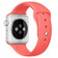 Ремешок Apple Watch 38mm/40mm Sport Band Pink (MJ4K2)