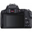 Фотоаппарат Canon EOS 250D [kit 18-55 DC III Black], отзывы, цены | Фото 4